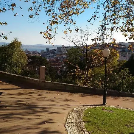 Apartman Alfazema